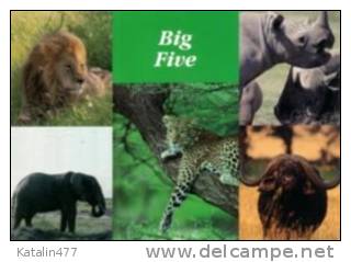 TANSANIA Safari, Big Five, Postcard, With Stamp - Tanzania (1964-...)