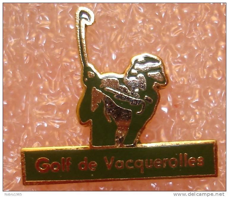 Pin´s Badge Pin Golf De Vacquerolles - Golf