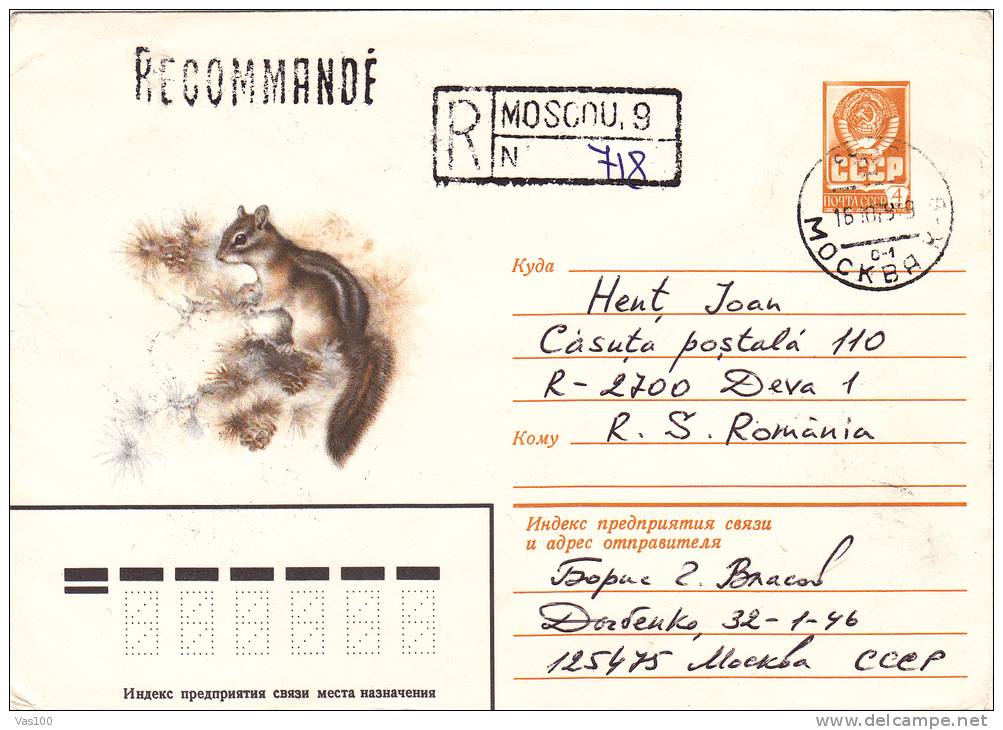 SQUIRREL, 1979, POSTAL STATIONERY, ENTIER POSTAL, RUSSIA - Roedores