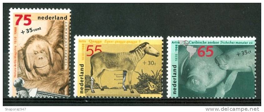 1988 Olanda Zoologia Zoology Zoologie Set MNH** AA52 - Unused Stamps