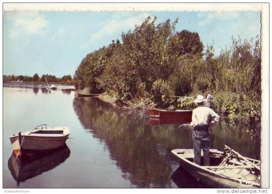 Gironde....33....  Sainte Terre   La Dordogne  Pêcheurs A La Ligne - Other & Unclassified