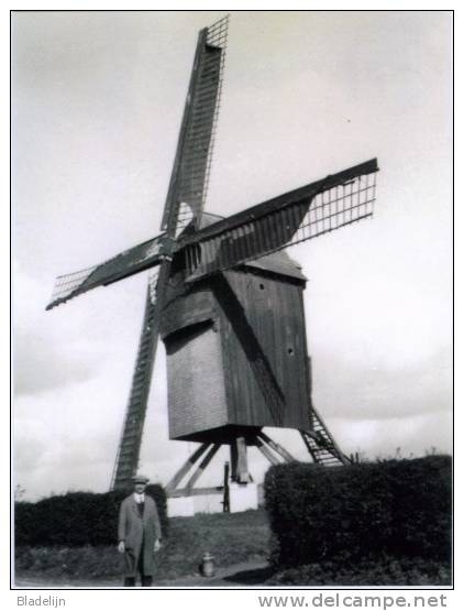 OOSTERZELE (O.Vl.) - Molen/moulin - Prentkaart Van De Verdwenen Houten Vinkemolen Voor Zijn Instorting. Oudere Opname! - Oosterzele