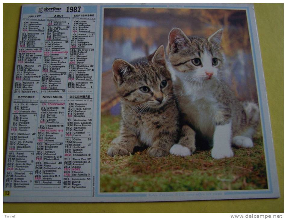 L Almanach Malin 1987 -  Préposé P.T.T - CHAT CHATONS  - VOSGES N°88  - OBERTHUR - - Small : 1981-90