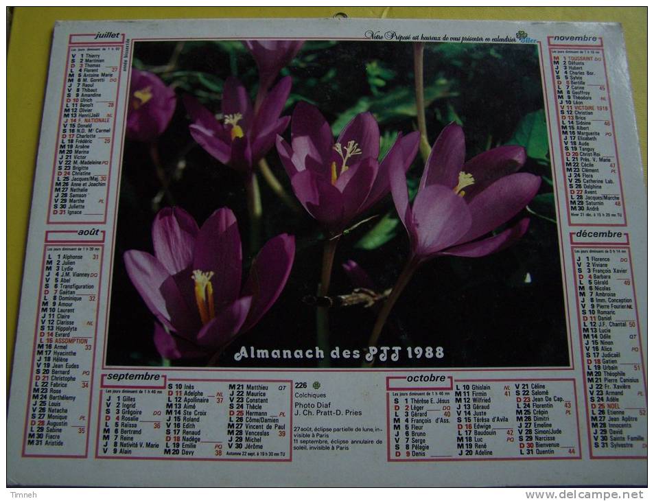 Almanach Des P.T.T. 1988 - Colchiques -  Rose  - NORD N°59 - OLLER - Small : 1981-90