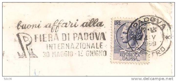 FIERA DI PADOVA - TIMBRO POSTE  PADOVA  TARGHETTA - SU CARTOLINA  VIAGGIATA  1959 - - Other & Unclassified