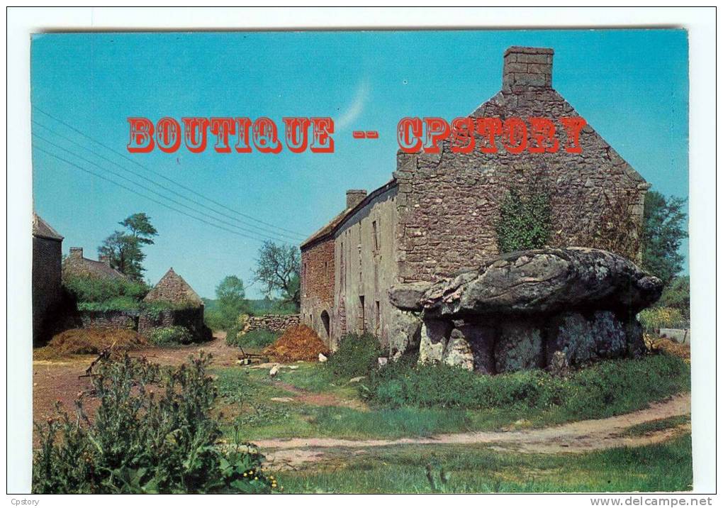 DOLMEN & MENHIR - Un Dolmen Près D'une Ferme - Pierre Megalithique - Mégalithe - Dos Scané - Dolmen & Menhire