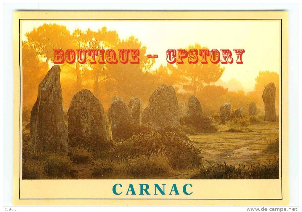 DOLMEN & MENHIR - Alignement De Menhirs à Carnac - Pierre Megalithique - Mégalithe - Dos Scané - Dolmen & Menhirs