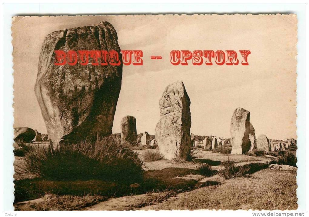 DOLMEN & MENHIR - Alignement De Menhirs Au Menec - Pierre Megalithique - Mégalithe - Dos Scané - Dolmen & Menhire