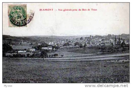 54 BLAMONT Vue Generale Prise Du Bois De Trion - Blamont