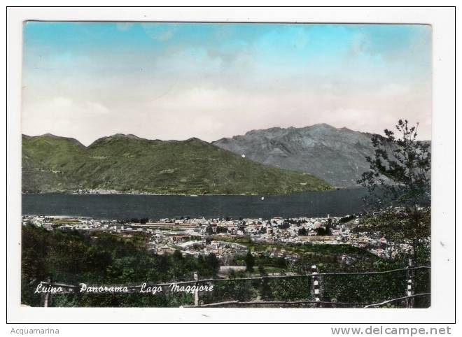 LUINO (LAGO MAGGIORE) - Panorama - Cartolina FG BR V 1962 - Luino