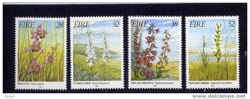 Irlande Ierland Eire 1993 Yvertn° 824-27 *** MNH Fleurs Flowers Bloemen Cote 9 Euro - Ungebraucht