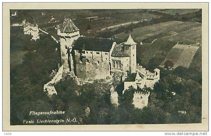 LIECHTENSTEIN - Feste - Fliegeraufnahme (Rudolf Hodina, 1183) - Liechtenstein