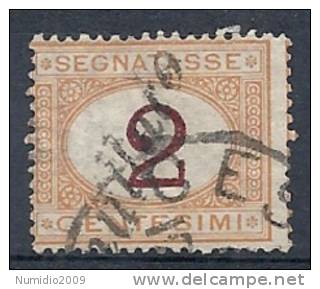 1870-74 REGNO USATO SEGNATASSE 2 CENT - RR9597 - Taxe