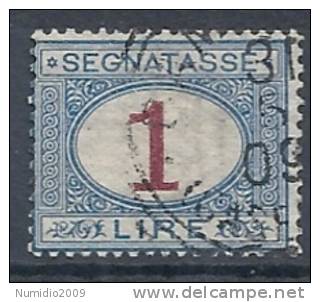 1890-94 REGNO USATO SEGNATASSE 1 LIRA - RR9598 - Strafport