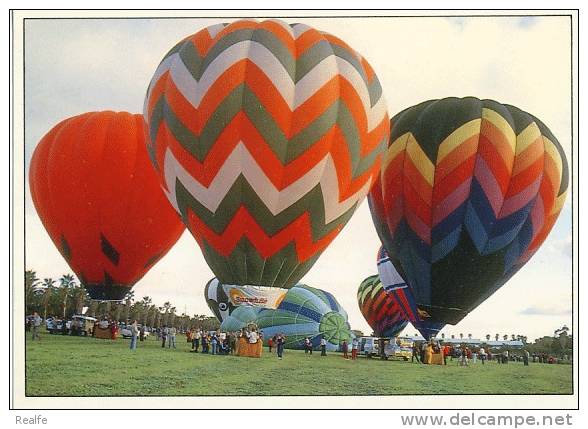 Hot Air Balloon Regetta, Barossa Valley, South Australia - Montgolfières