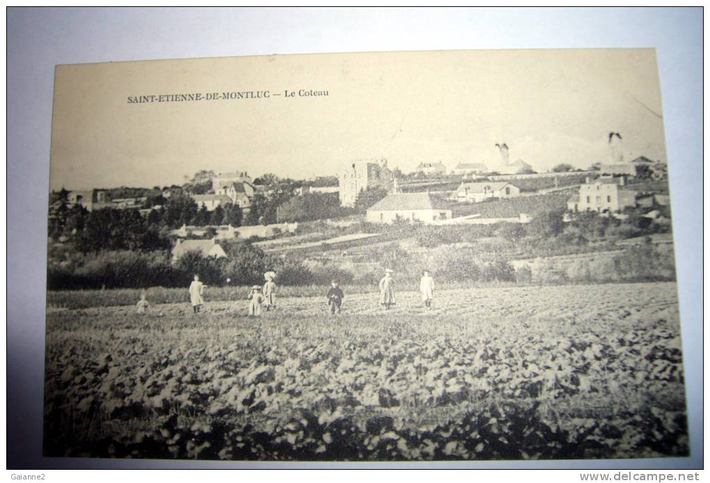 Le Coteau - Saint Etienne De Montluc