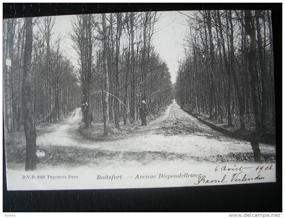 BOITSFORT - Bosvoorde - Avenue Diependelleweg   - Envoyée 1902 Verzonden - D.V.D.  - Précurseur - Voorloper - Lot AM17 - Watermael-Boitsfort - Watermaal-Bosvoorde