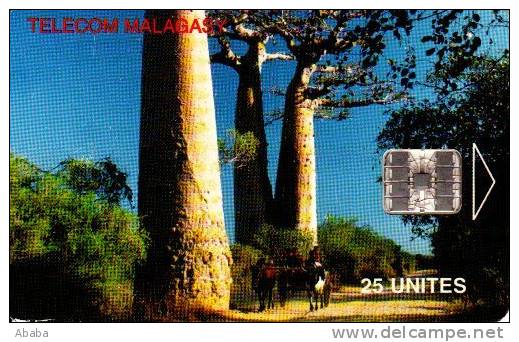 TELECARTE MADAGASCAR ALLEE DES BAOBABS - Madagaskar