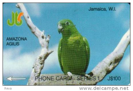 JAMAICA $100  PARROT PARROTS  BIRD BIRDS GPT  CODE:8JAMA  CC: JAM-8A  READ DESCRIPTION !!! - Jamaïque