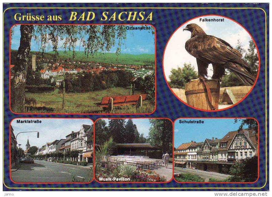 Deutschland-Niedersachsen >  Bad Sachsa/Südharz, Gelaufen Ja - Bad Sachsa