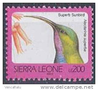 Tuvalu - Nectarinia Superba, 1 Stamp, MNH - Colibríes