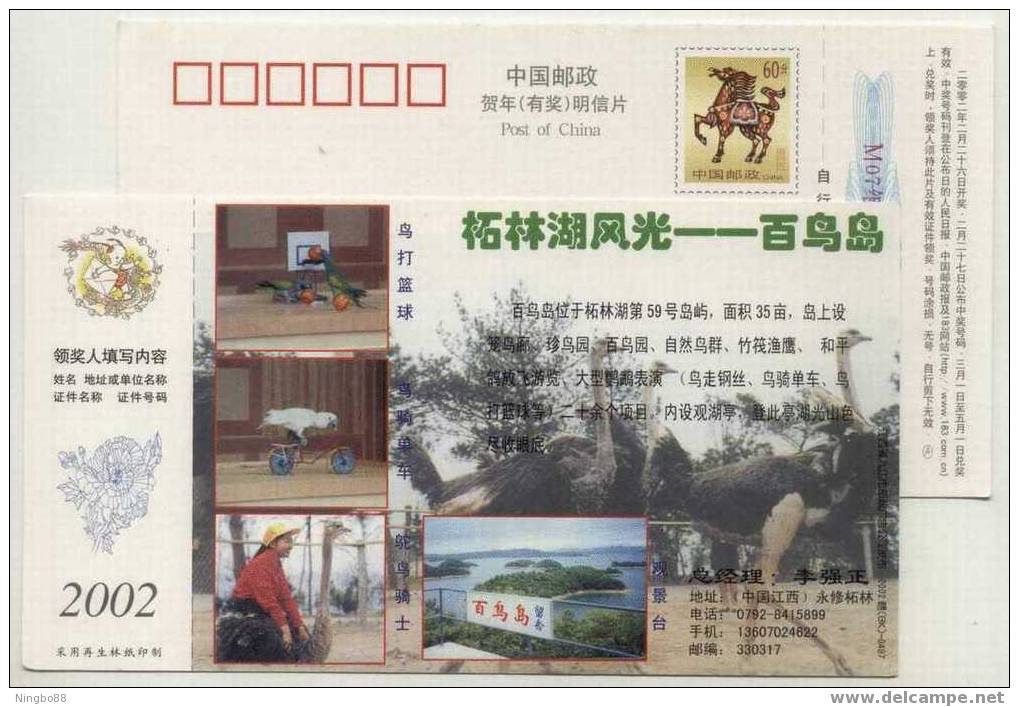 China 2002 Zhalin Lake Birds Island Tourism Advertising Pre-stamped Card Parrot Basketball And Ostrich Garden - Struisvogels