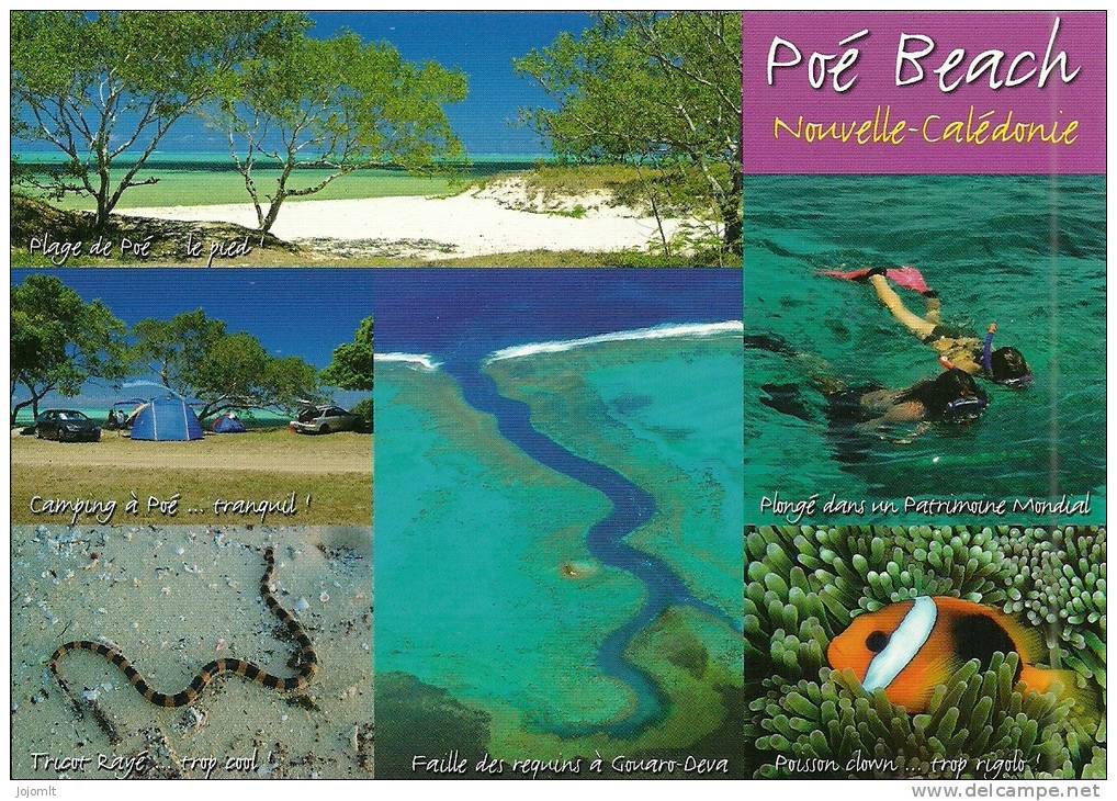 Nouvelle Calédonie New Caledonia (P) CPM Neuve Unused Post Card FOOTPRINT PAC.n°175N POE BOURAIL Beach Landscape Paysage - New Caledonia