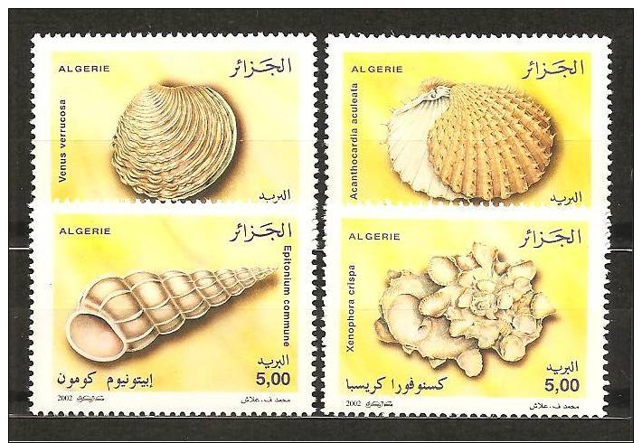 Algeria 2002 Seashells Set Of 4 MNH ** Algerie Coquillages - Coquillages