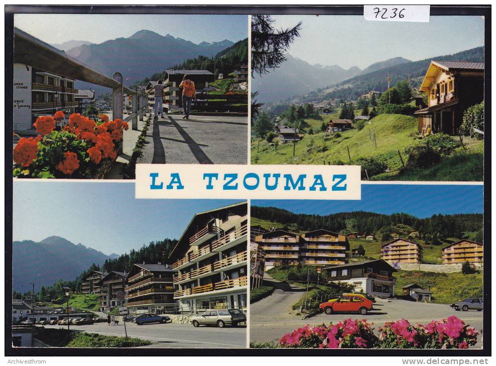 Mayens De Riddes (1500 M) - La Tzoumaz : Multivues Vers 1984 ; Grand Format 10 / 15 (7236) - Riddes