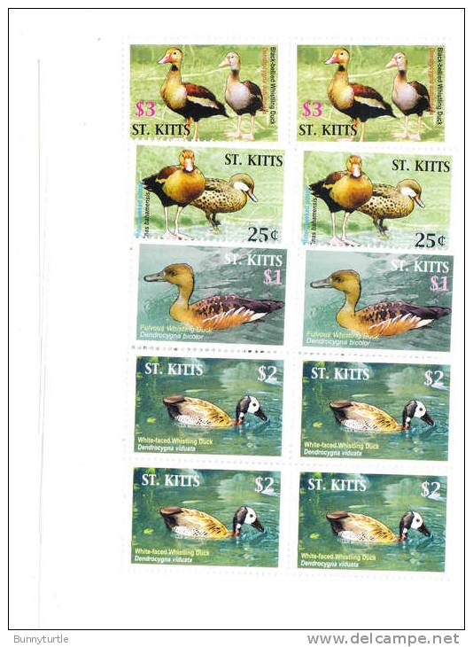 St Kitts 2005 Ducks Birds Blk Of 4 MNH - Ducks