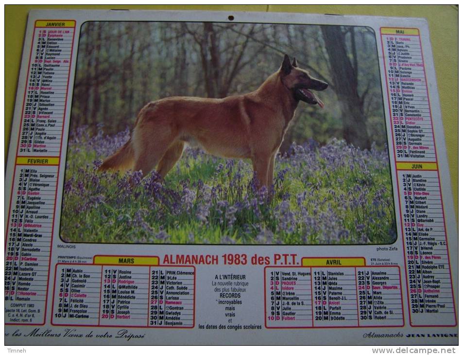 Almanach 1983 Des P.T.T.- Setter Irlandais - Malinois  - VOSGES N°88 - Almanach JEAN LAVIGNE - Small : 1981-90