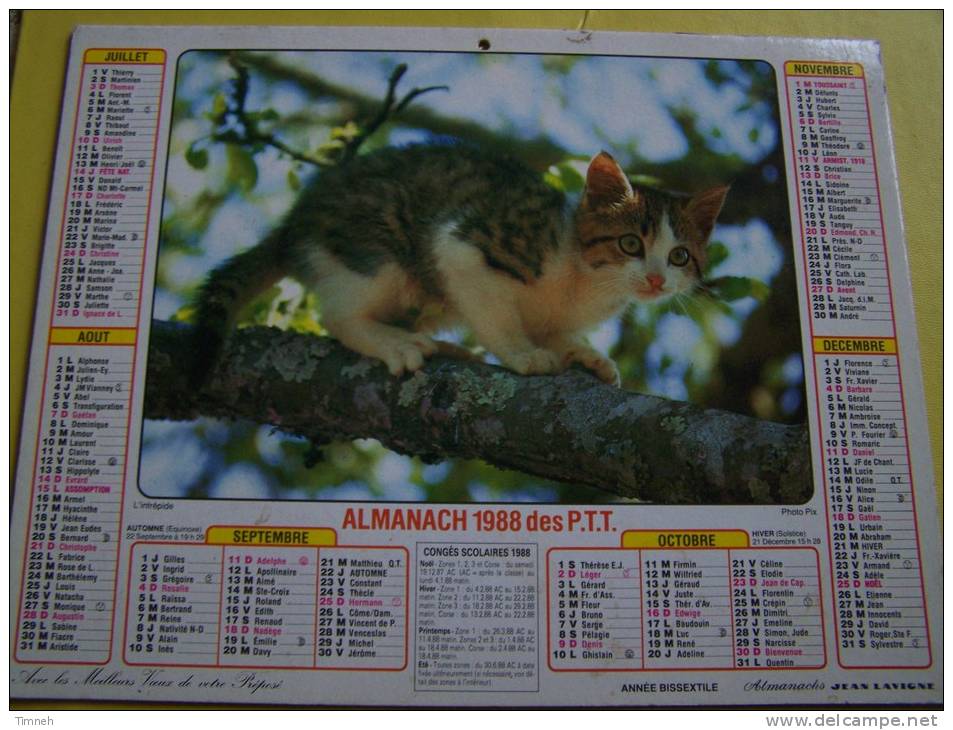 Almanach 1988 Des P.T.T.- Chat Chaton Chiot - VOSGES N°88 - Almanach JEAN LAVIGNE - Small : 1981-90