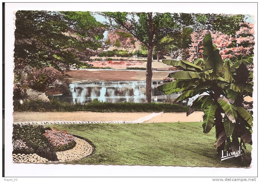 316 - ANGERS - Le Jardin Des Plantes Et Le Lac. - Angers