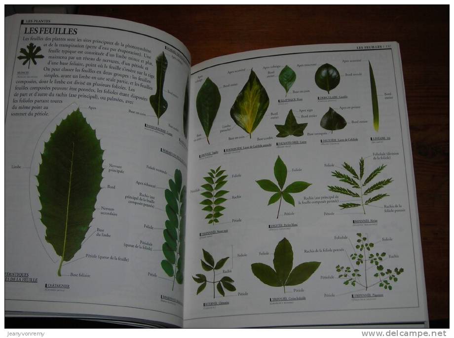 Dictionnaire Visuel Pour Tous - Gallimard Jeunesse, 1999. - Wörterbücher