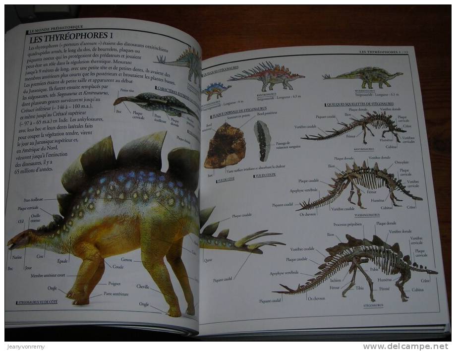 Dictionnaire Visuel Pour Tous - Gallimard Jeunesse, 1999. - Dictionnaires