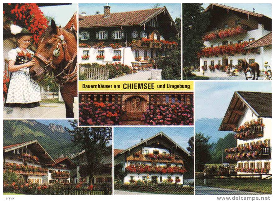 Deutschland >Bayern-Chiemgauer Alpen, Bauernhäuser Am Chiemsee Und Umgebung. Gelaufen Nein - Chiemgauer Alpen