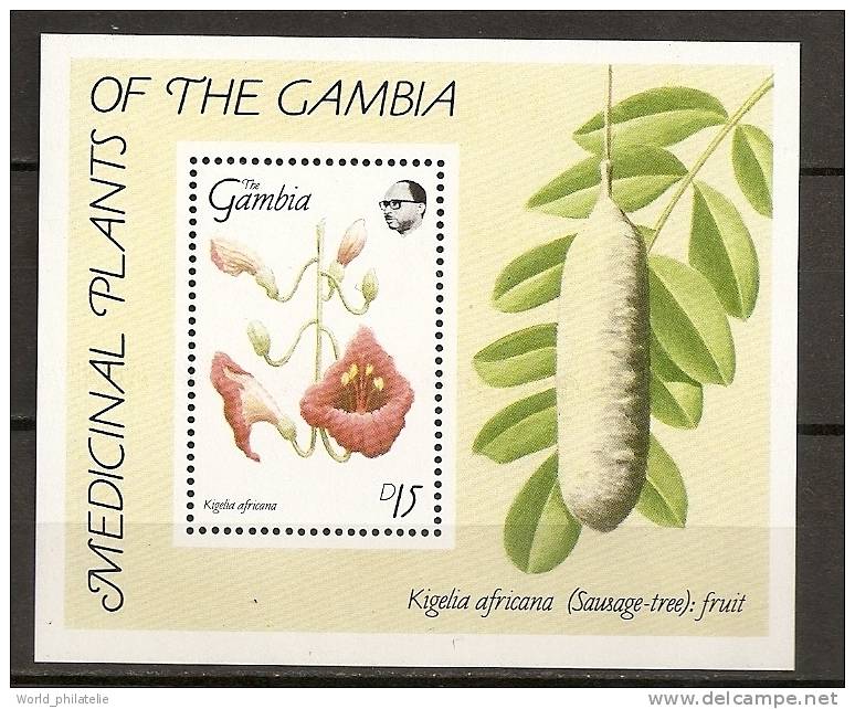 Gambie Gambia 1989 N° BF 72 ** Flore, Fleurs, Plante Médicinale, Kigelia Africana, Sausage Tree, Fruit - Gambia (1965-...)