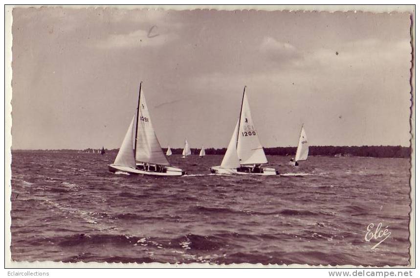 Arès     33           ( Bassin D'Arcachon)....Les Canetons En Régates - Arès