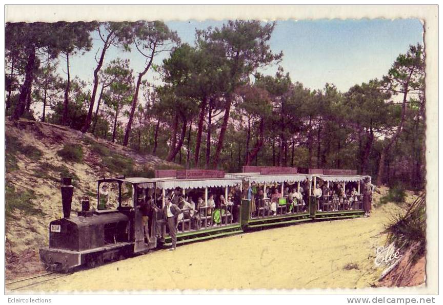 33....Le Cap Ferret.....Train Forestier - Andere & Zonder Classificatie