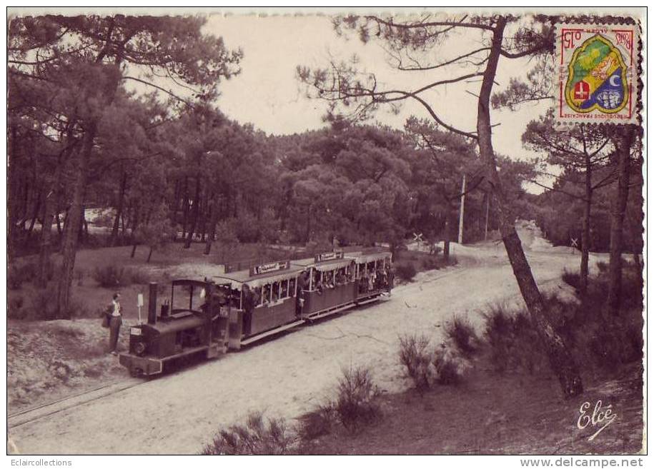 33....Le Cap Ferret.....Train Forestier - Other & Unclassified