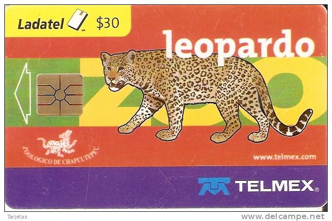 TARJETA DE MEJICO DE UN LEOPARDO  (PANTERA-PANTER) - Otros & Sin Clasificación