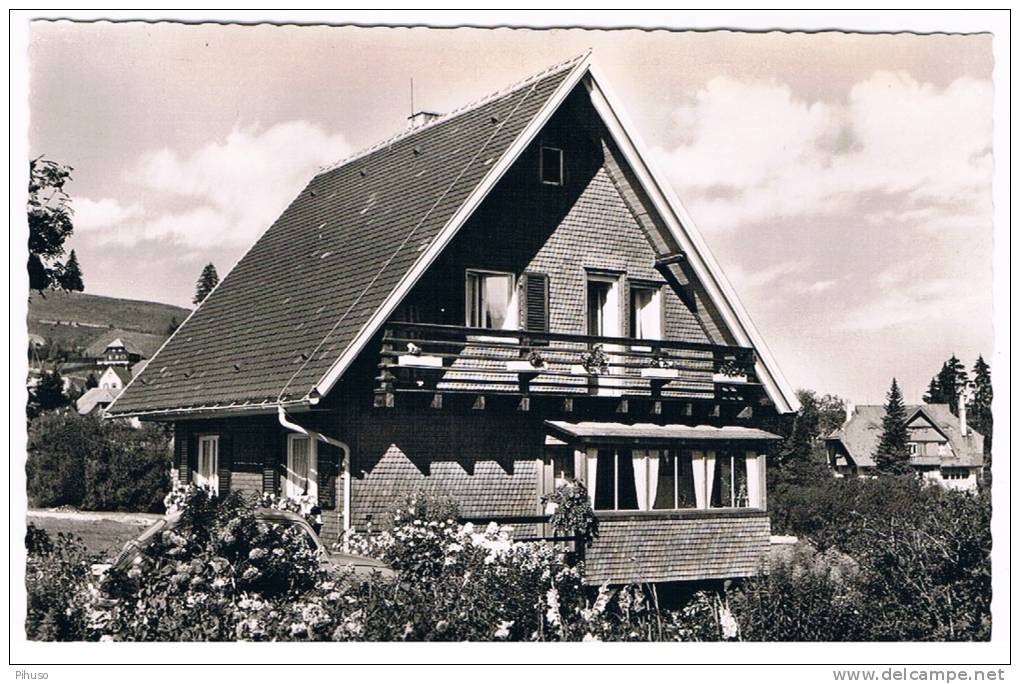 D2560   ALTGLASHÜTTEN : Haus Faller - Feldberg