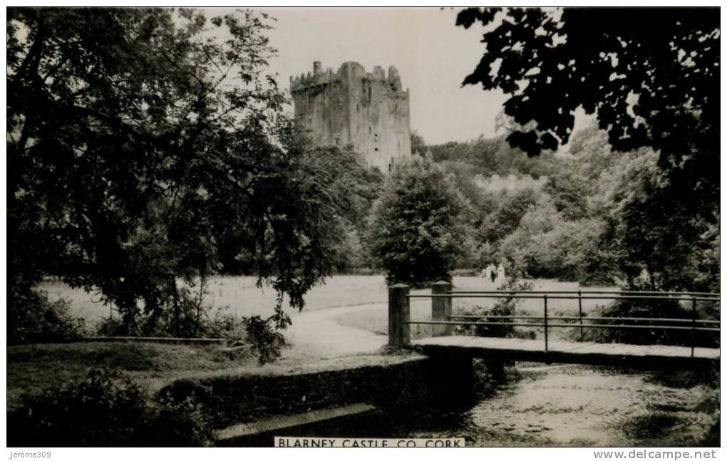 IRLANDE - CORK - CPA - Cork, BLARNEY CASTLE, CO. CORK - Cork