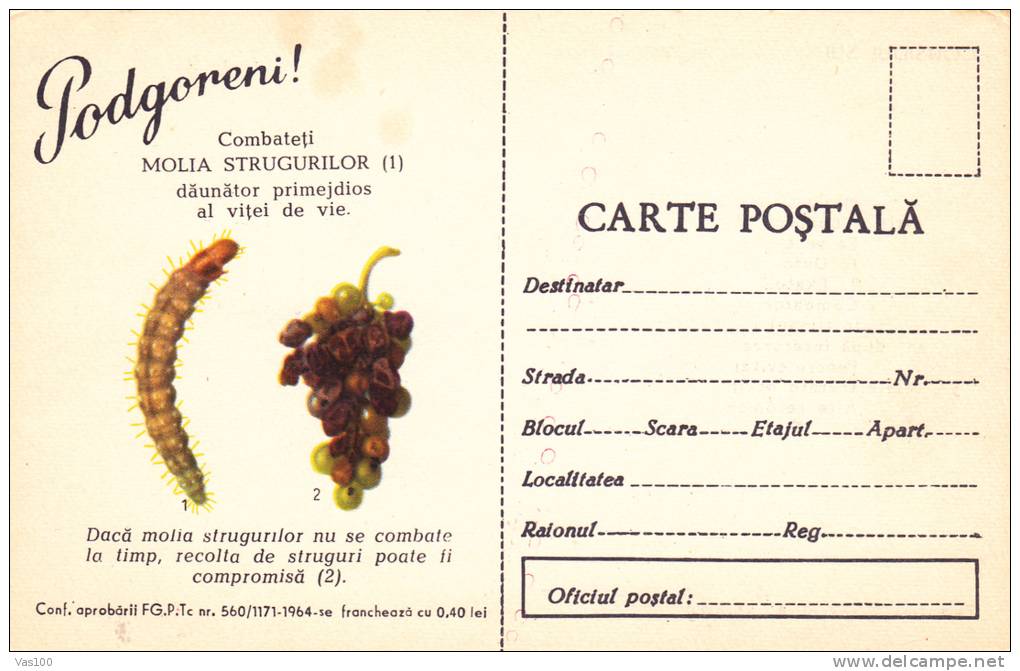 Romania 1964 Grapes,Vineyard Manna,rare Stationery Unused PC. - Wines & Alcohols