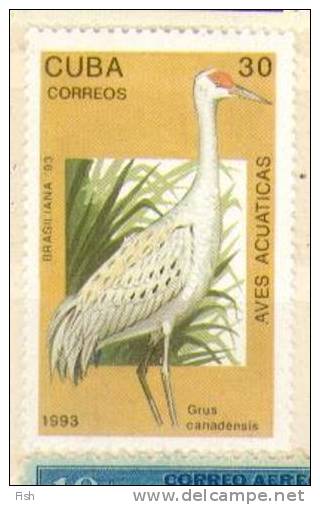 Cuba ** (3311) - Albatros & Stormvogels