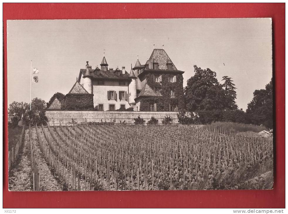 N277 Jussy, Château De Crest,vignes.Circulé,date Illisible. Jaeger 315 - Jussy