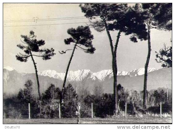 Carrara - Panorama - Viaggiata - Carrara