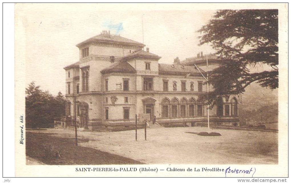 SAINT-PIERRE-la-PALAUD  - Château De La Pérollière - Autres & Non Classés