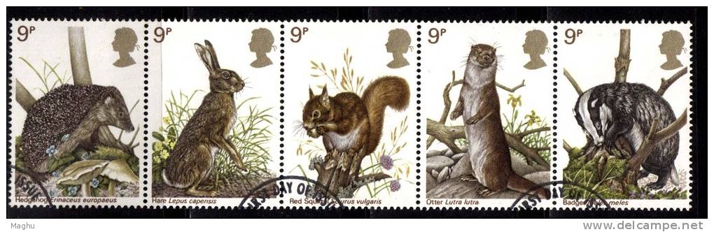 Great Britain Used 1977, Strip Of 5, Wildlife, Hare,Squirrel, Otter, Badger, Animals ( Folded Perforation) - Nager