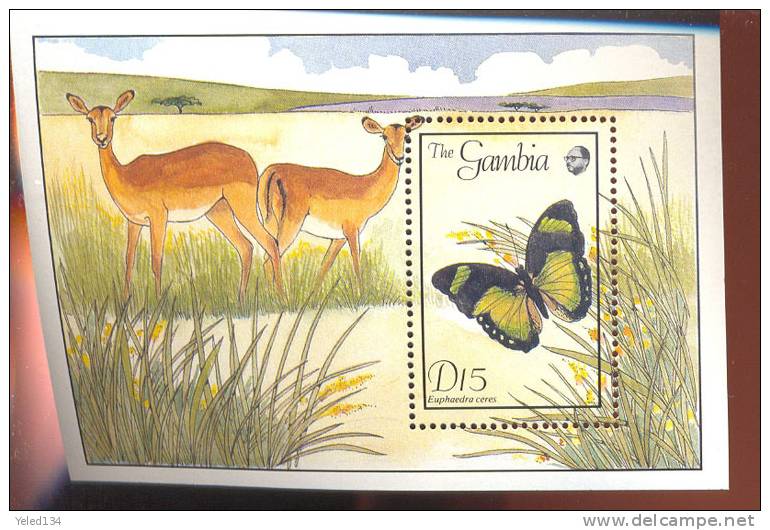 MINT NEVER HINGED SOUVENIR SHEET OF BUTTERFLIES  ; ANIMALS (  GAMBIA  844 - Butterflies